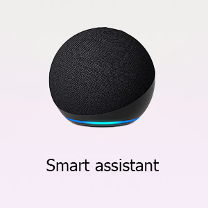 Smart assistant