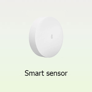 Smart sensor